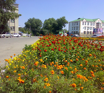 Новопавловск, ул. Журавко. Фото: wikimapia.org